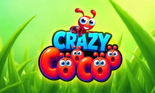Crazy CooCoo