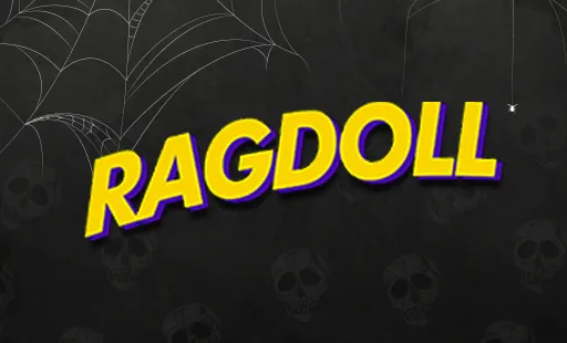 Ragdoll
